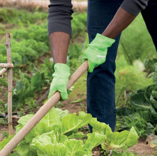 Mercator Gogrip Green Pro